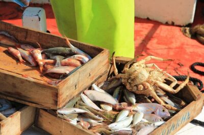 Private Fishing Trip in a Traditional Boat from Athens - After the catch: how food works (and what’s not included)
