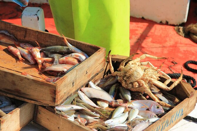 Private Fishing Trip in a Traditional Boat from Athens - After the catch: how food works (and what’s not included)