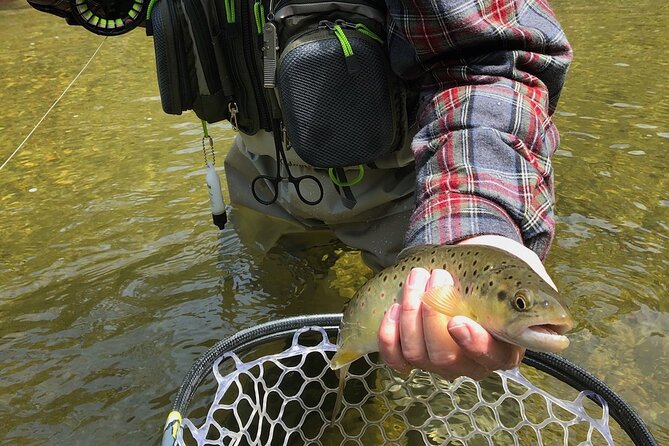 Private Full Day Fly Fishing For Beginners and Experienced Anglers - Gear, License, and Fees: What’s Included (and Why It Matters)