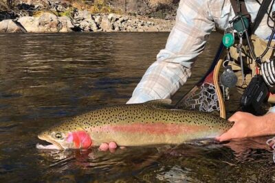 Private Full Day Fly Fishing For Beginners and Experienced Anglers - Stanislaus National Forest Option: A Useful Plan B