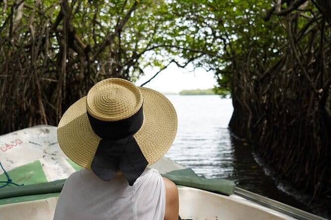 Private Galle Day Tour with River Safari, Stilt fishing & Turtles - Madu River Safari by Buddhi: your slow start on the water