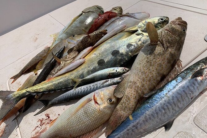 Private Game Fishing Trip with Sightseeing in Muscat - Species targets: what you might reel in on this style of trip