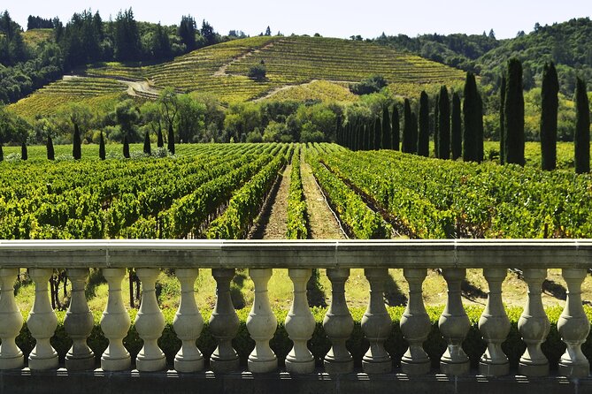 Private Half Day Txakoli Wine Tour & Getaria Fishing Village - Key highlights worth planning for