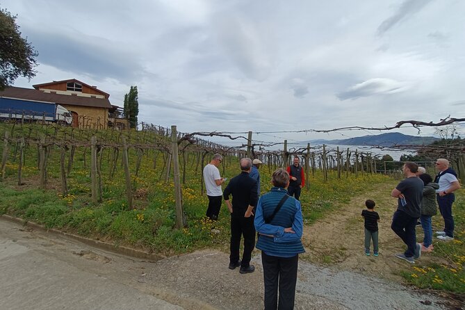 Private Half Day Txakoli Wine Tour & Getaria Fishing Village - Why the tuna, chilli, and chorizo pairing makes sense