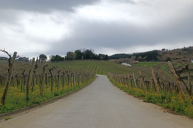 Private Half Day Txakoli Wine Tour & Getaria Fishing Village - Price and value: what you’re paying for (and what you’re not)
