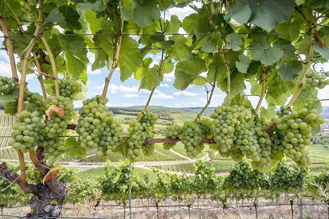 Private Half Day Txakoli Wine Tour & Getaria Fishing Village - Getaria’s medieval streets: fisherman houses and wooden balconies