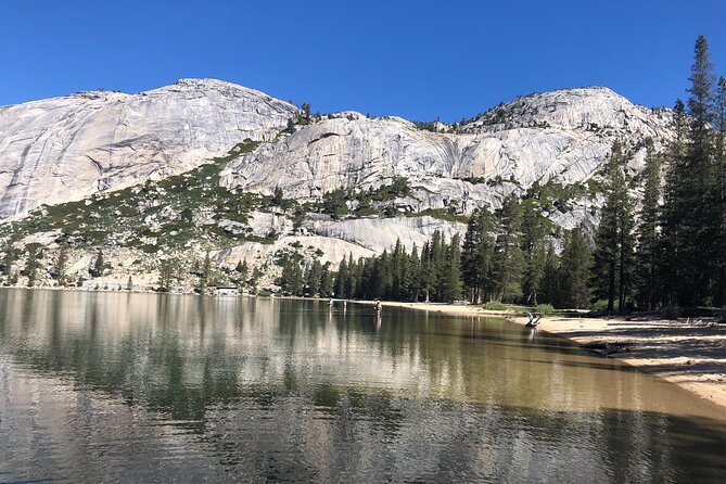 Private High Country Fly Fishing Adventure - Lunch included, so you don’t bleed time later