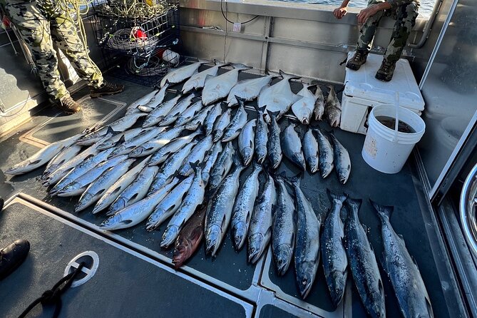 Private Ketchikan Halibut and Salmon Fishing Charter - Licenses and the King Salmon Stamp: Don’t Get Surprised