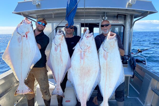 Private Ketchikan Halibut and Salmon Fishing Charter - Wildlife Spotting: The Bonus When Conditions Are Good