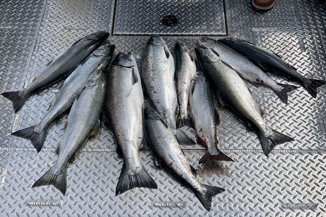 Private Ketchikan Wild Alaskan Salmon Fishing Trip - A private 4-hour Ketchikan charter from 425 Water St