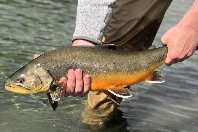 Private Lake and River Fishing Tour from Reykjavik - Five Hours on the River: Targeting Arctic Char and Brown Trout