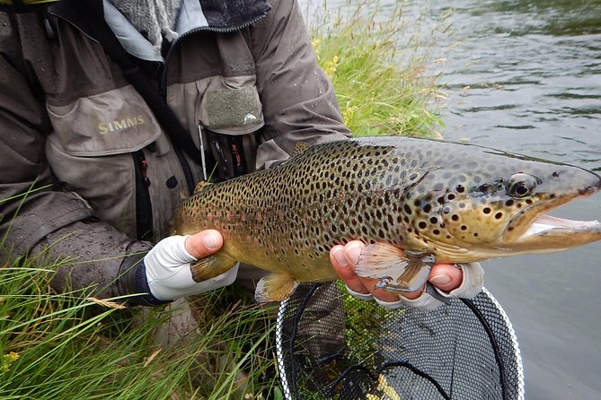 Private Lake and River Fishing Tour from Reykjavik - Expert Coaching That Works for Beginners (Yes, Fly Fishing Too)