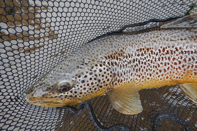 Private Lake and River Fishing Tour from Reykjavik - What’s Included (and What You’ll Still Need)