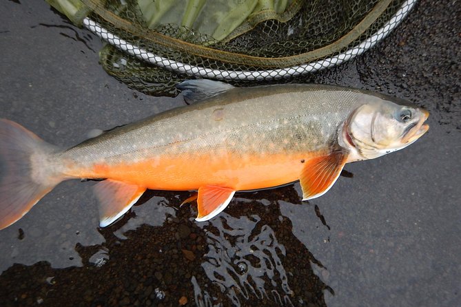 Private Lake and River Fishing Tour from Reykjavik - Who Should Book This Private Fishing Day From Reykjavik