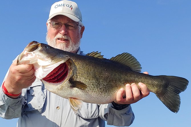 Private Lake Tohopekaliga Fishing Charter near Orlando - Why Lake Tohopekaliga Delivers Trophy Bass (And Real Florida Wildlife)