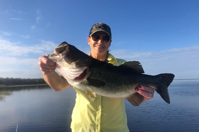 Private Lake Tohopekaliga Fishing Charter near Orlando - Wildlife Moments: Bald Eagles and Alligators While You Fish