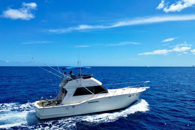 Private Luxury Sportfishing Experience Aboard Limitless - What “luxury” means here: comfort that helps you fish longer