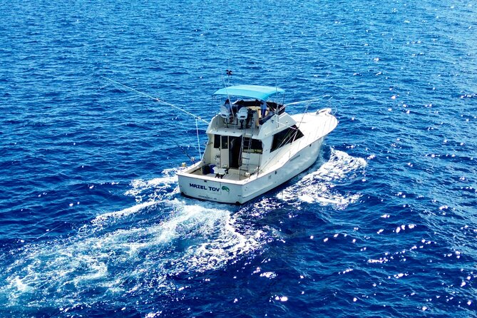 Private Luxury Sportfishing Experience Aboard Limitless - The catch: keeping it cool, then taking it home