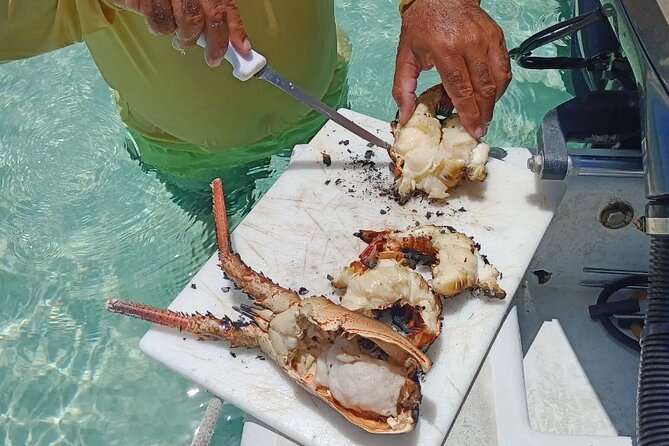 Private Snorkeling And Fishing Activity - Should you book this private snorkeling and fishing day?