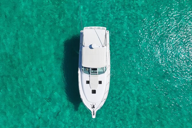 Private Snorkeling or Fishing Charter in Nassau - 38ft Free Time - Snorkeling coral reefs and classic wildlife moments