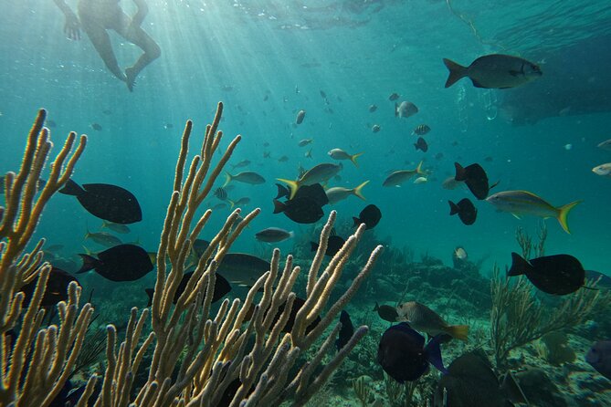 Private Snorkeling or Fishing Charter in Nassau - 38ft Free Time - Crew personality and how to get the most out of a flexible itinerary