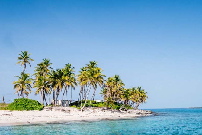 Private Snorkeling or Fishing from Nassau - 31ft Sitting Pretty - Families and first-timers: why this charter works well with kids