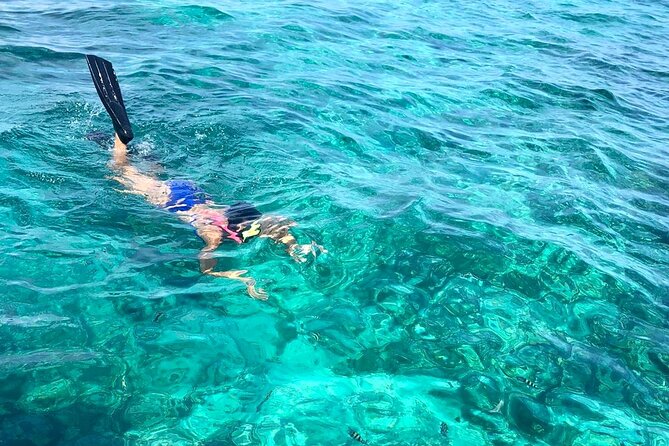 Private Snorkeling or Fishing in Nassau - 55ft Cocorijo - Fishing Time: Deep Sea or Inshore, Plus the Reality Check