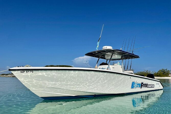 Private Speed Boat for Snorkeling or Fishing in Nassau - 34ft - Key highlights you’ll feel on the water