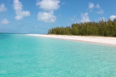 Private Speed Boat for Snorkeling or Fishing in Nassau - 34ft - Meeting point at Paradise Island: plan to arrive ready