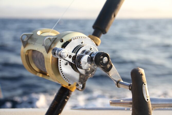 Private Sport Fishing Charter Experience in Cabo San Lucas (5 Hours) - How the Fishing Actually Feels: Expect Big Game, Not Perfect Results