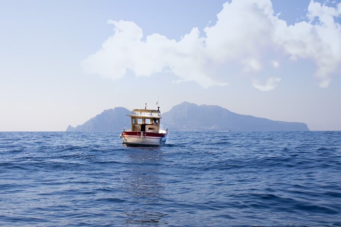 Private tour with fishing, tour of Capri and lunch on board - Fishing in the Area Marina Protetta Punta Campanella with electric reels