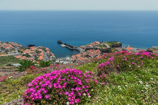 Private Tuk Tuk Tour on Câmara de Lobos, Fishing Village - Key things you’ll remember most