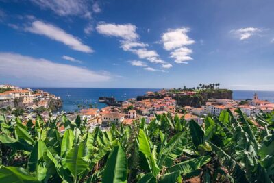 Private Tuk Tuk Tour on Câmara de Lobos, Fishing Village - Lido’s new town start: the best kind of easy begin