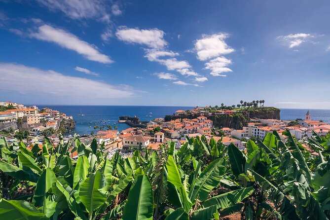 Private Tuk Tuk Tour on Câmara de Lobos, Fishing Village - Lido’s new town start: the best kind of easy begin