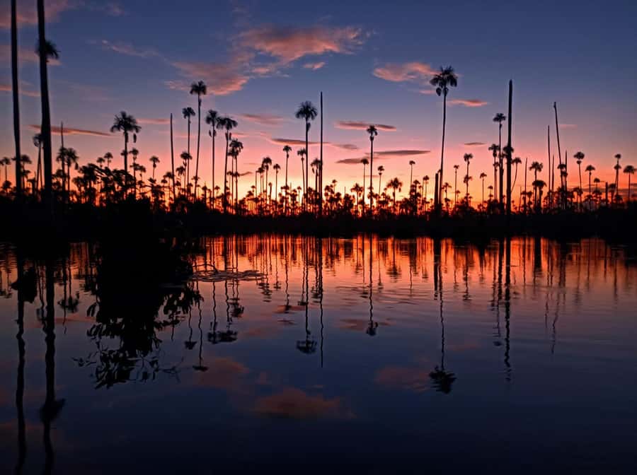 Puerto Maldonado: Lake Yacumama sunset and piranha fishing - Why Lago Yacumama sunsets make piranha fishing make sense