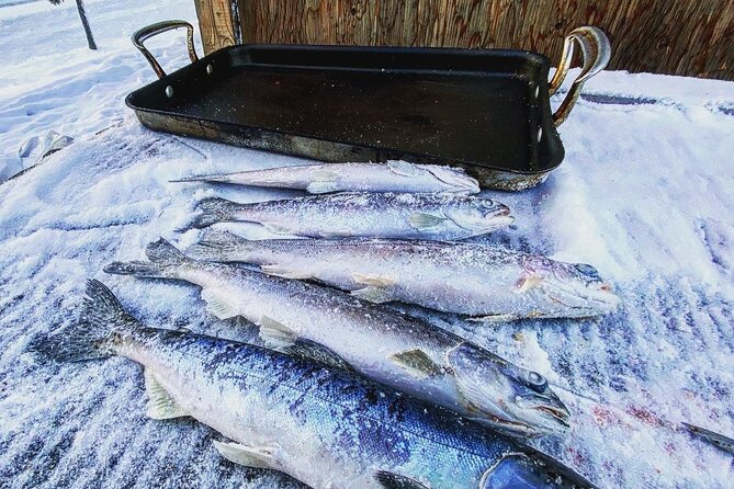 Quick and Easy Ice Fishing at Chena Lake - Heated Shelters: The Secret Ingredient for Comfort