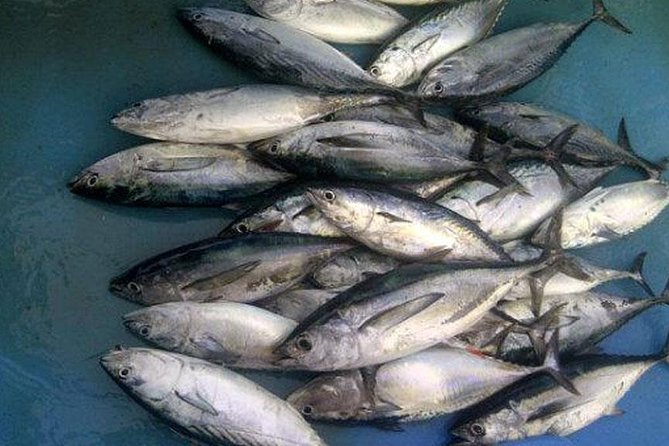 Racha Island Game Fishing & Trolling From Phuket - Lunch on Board: Eating Well Without Turning It Into a Chore