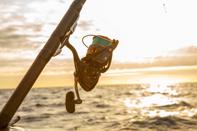 Reef Fishing Experience from Portimao - Key things to know before you go