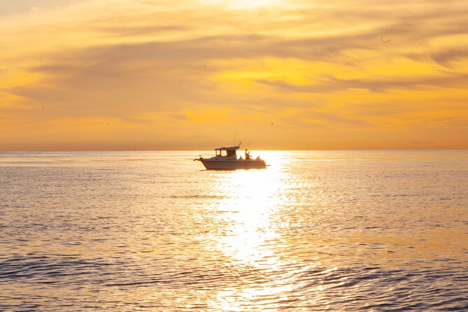 Reef Fishing Experience from Portimao - Portimão Marina Setup: Warm Welcome, Clear Safety, Real-Time Fishing