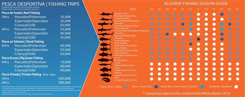 Reef Fishing in Vilamoura - The 3-hour rhythm: what happens on the water