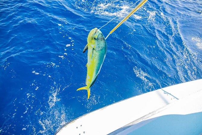 Reel Adventures: A Fin-tastic Fishing Tour - Who This Fishing Tour Fits Best