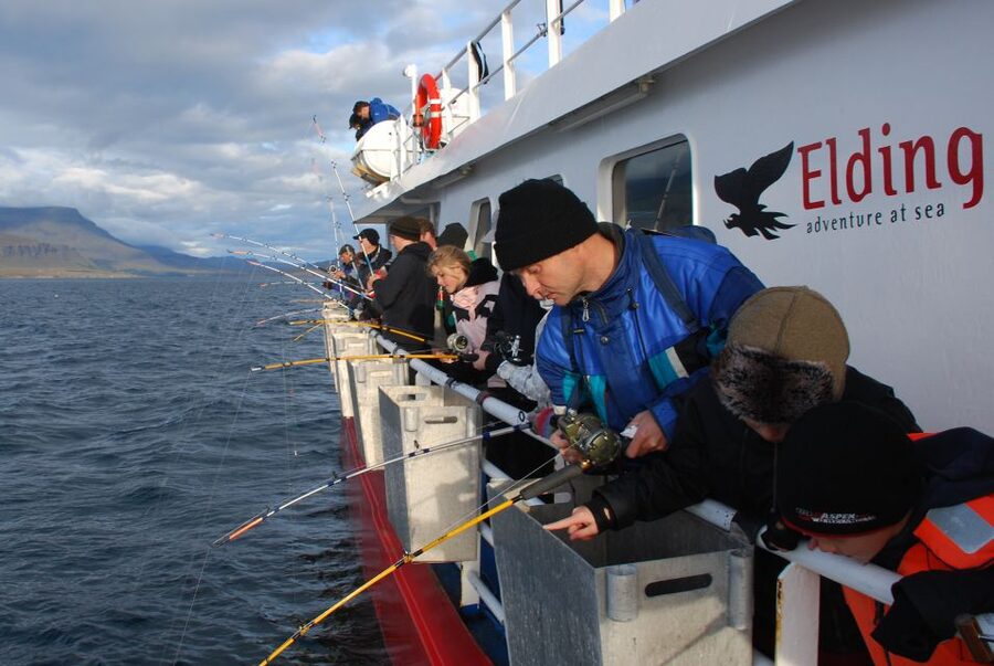 Reykjavik: 3-Hour Sea Angling Gourmet Experience Tour - Weather, seasickness, and what to wear without overthinking