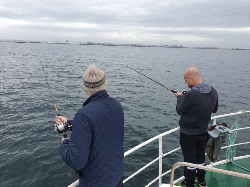 Reykjavik's Finest Catch: Guided Sea Angling Tour - Old Reykjavík Harbor Meeting Point: Where You Start and What to Look For