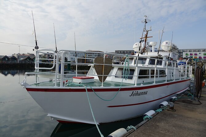 Reykjavik's Finest Catch: Guided Sea Angling Tour for All Levels - The Onboard Meal: Grilling Your Catch With Potatoes, Coleslaw, and Skyr Sauce