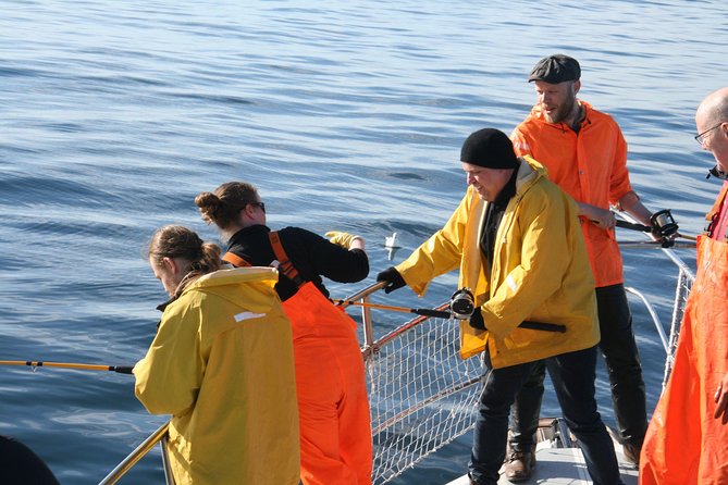 Reykjavik Sea Angling Gourmet - The 3-Hour Plan on Faxaflói: What Happens at Sea