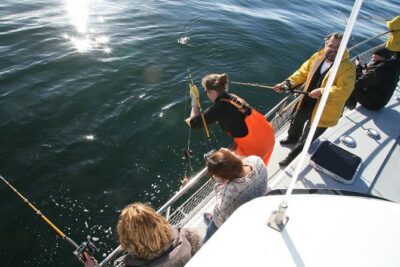 Reykjavik Sea Angling Gourmet - Getting There: Hlésgata 1 and How the Timing Feels