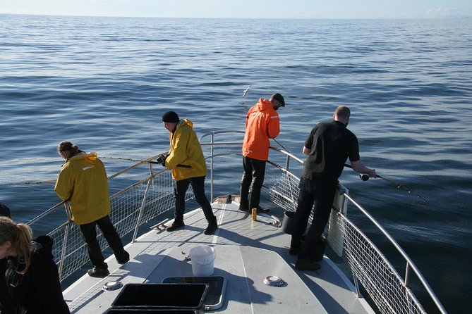 Reykjavik Sea Angling Gourmet - Gear and Instruction: Why Beginners Feel Comfortable Fast