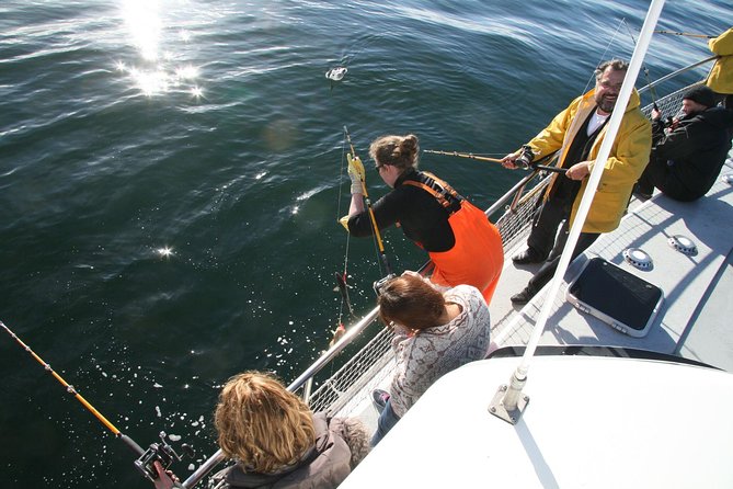 Reykjavik Sea Angling Gourmet - Getting There: Hlésgata 1 and How the Timing Feels