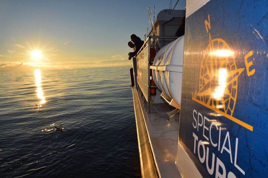 Reykjavik: Sea Fishing Boat Tour & BBQ with the Day's Catch - Key Things You’ll Notice on This Sea Fishing + BBQ Tour