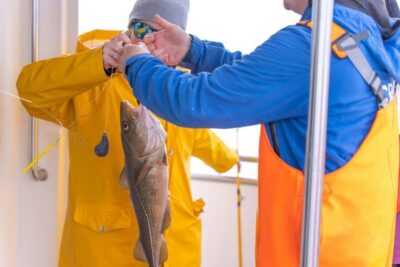 Reykjavik: Sea Fishing Boat Tour & BBQ with the Day's Catch - How the Crew Gets You Fishing Fast (No Experience Required)